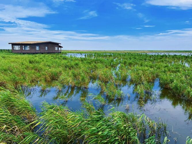 上海东滩湿地公园-上海东滩湿地公园好玩吗