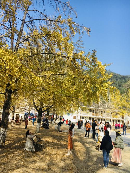 南雄旅游-南雄旅游必去十大景点