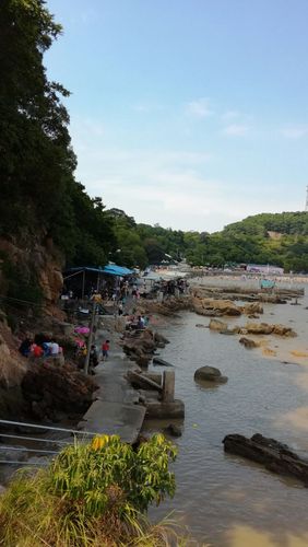 珠海淇澳岛好玩吗-珠海淇澳岛好玩吗?