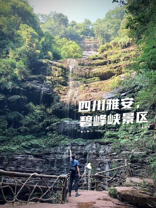 雅安旅游-雅安旅游十大必去景点