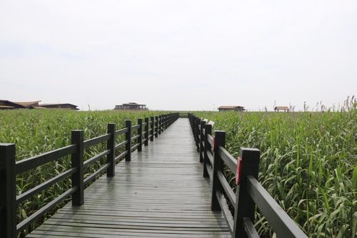 崇明东滩湿地公园-崇明东滩湿地公园门票多少钱