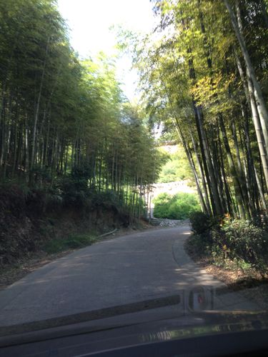 德清旅游-德清旅游景点有哪些