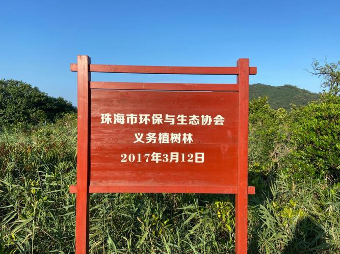淇澳红树林-淇澳红树林湿地公园