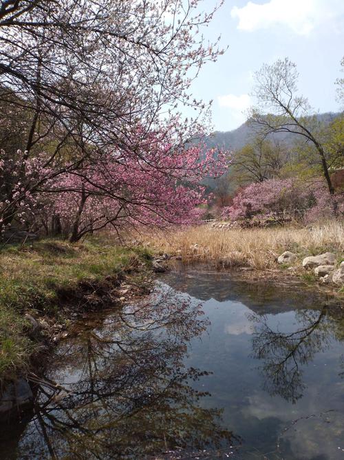 荥阳桃花峪-荥阳桃花峪景区怎么样