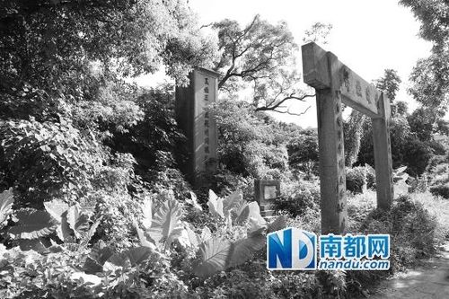 三灶岛万人坟-三灶岛万人坟事件
