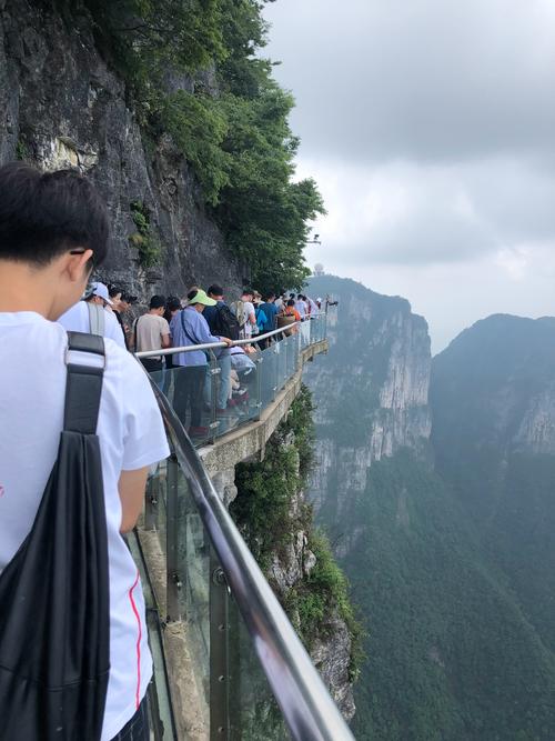 张家界 自助游-张家界自助游攻略和花费