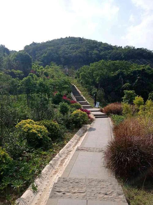 宝安羊台山-宝安羊台山天气
