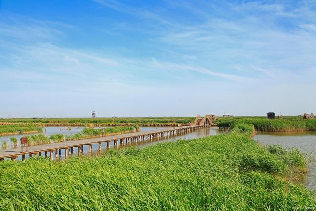 东营旅游-东营旅游景点大全免费的