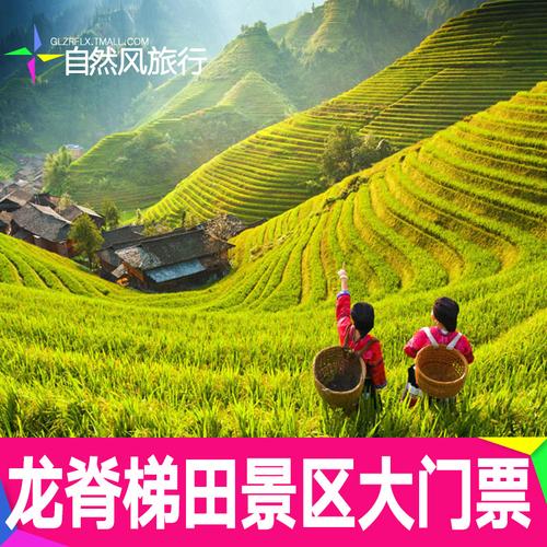 龙脊梯田门票-龙脊梯田门票多少钱一张