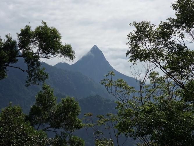 尖峰岭-尖峰岭旅游攻略