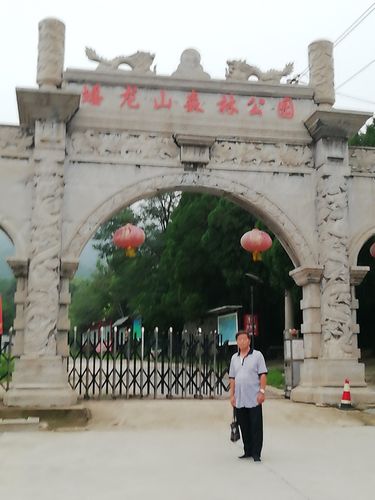 蟠龙山森林公园-蟠龙山森林公园收费吗