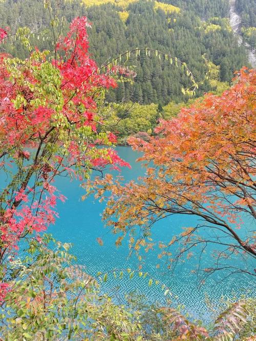 九寨沟旅游景点-新乡九寨沟旅游景点