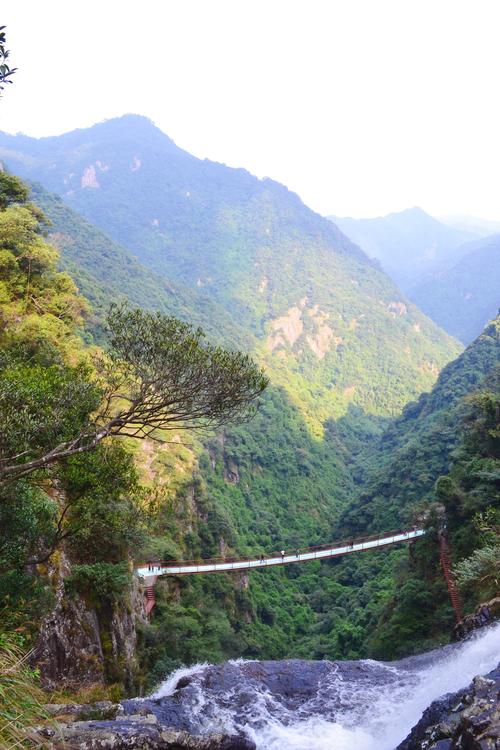 旗山国家森林公园-旗山国家森林公园开放了吗