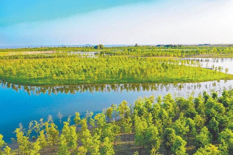 滨湖湿地森林公园-滨湖湿地森林公园收费吗