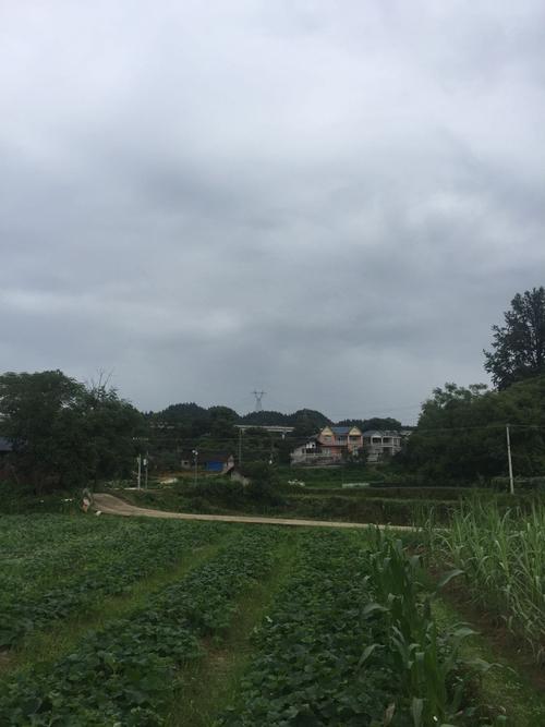 洪江市天气-洪江市天气预报