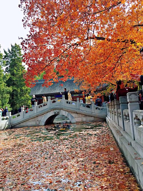 香山植物园-香山植物园门票预约官网