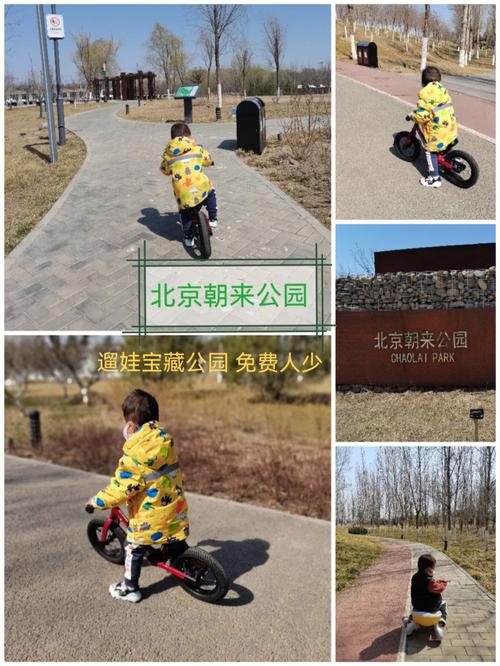 朝来森林公园-朝来森林公园三期可以骑自行车吗
