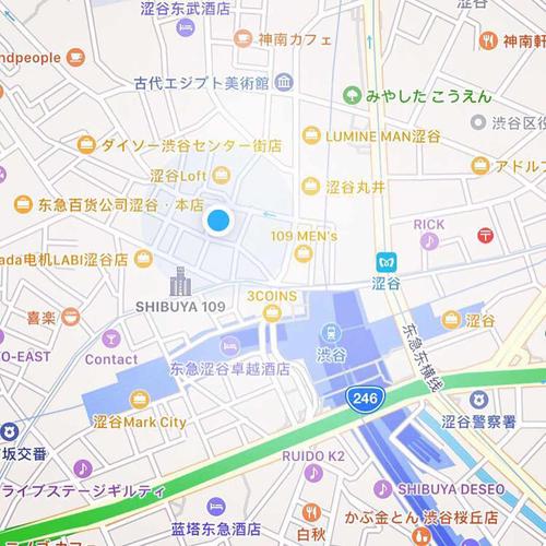 下北泽-下北泽在日本哪个县