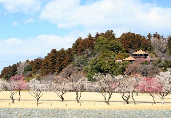 茨城县-日本茨城县