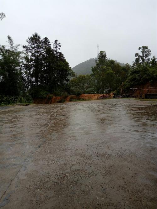 河源市龙川县-河源市龙川县天气预报